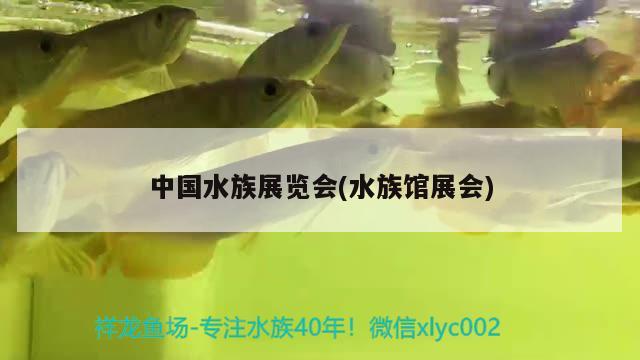 中国水族展览会(水族馆展会)