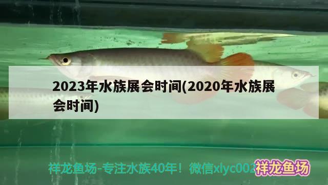 2023年水族展会时间(2020年水族展会时间) 水族展会