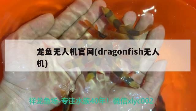 龙鱼无人机官网(dragonfish无人机)