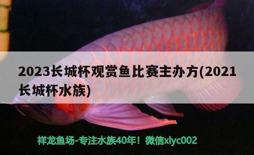 2023长城杯观赏鱼比赛主办方(2021长城杯水族)