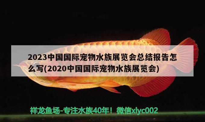 2023中国国际宠物水族展览会总结报告怎么写(2020中国国际宠物水族展览会)