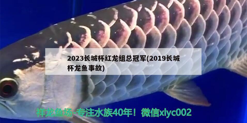 2023长城杯红龙组总冠军(2019长城杯龙鱼事故)