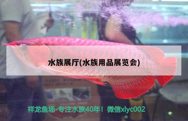 水族展厅(水族用品展览会)