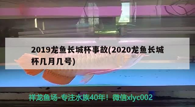 2019龙鱼长城杯事故(2020龙鱼长城杯几月几号)