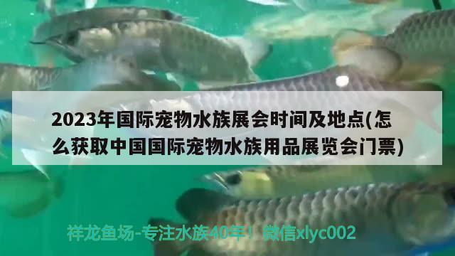 2023年国际宠物水族展会时间及地点(怎么获取中国国际宠物水族用品展览会门票)