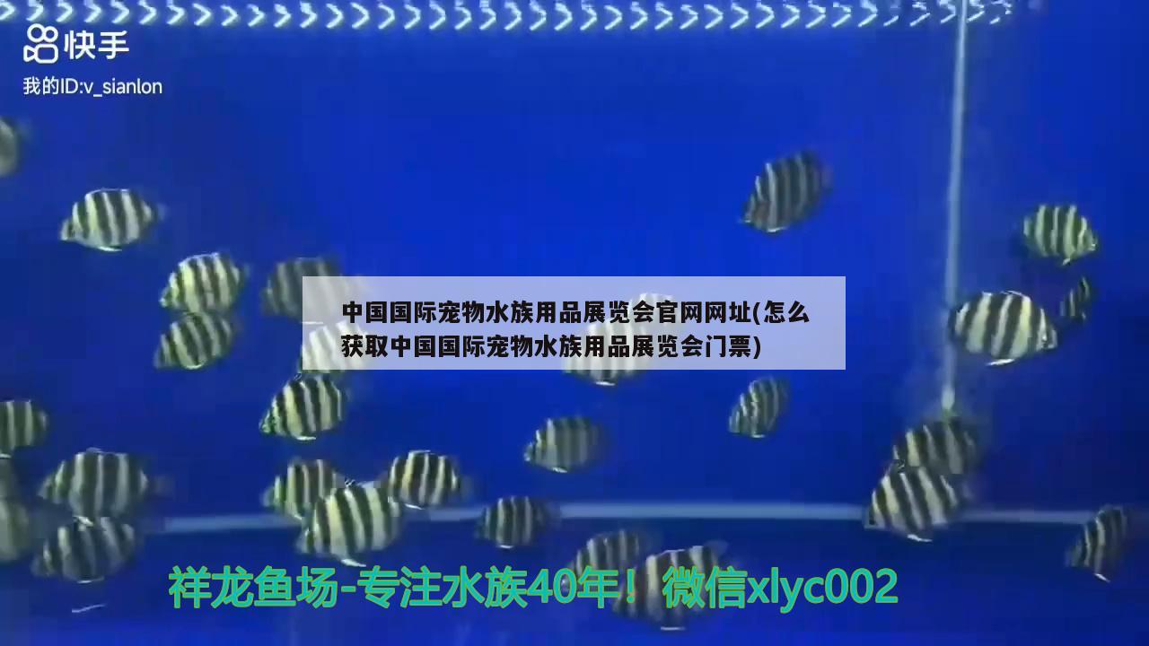 中国国际宠物水族用品展览会官网网址(怎么获取中国国际宠物水族用品展览会门票)