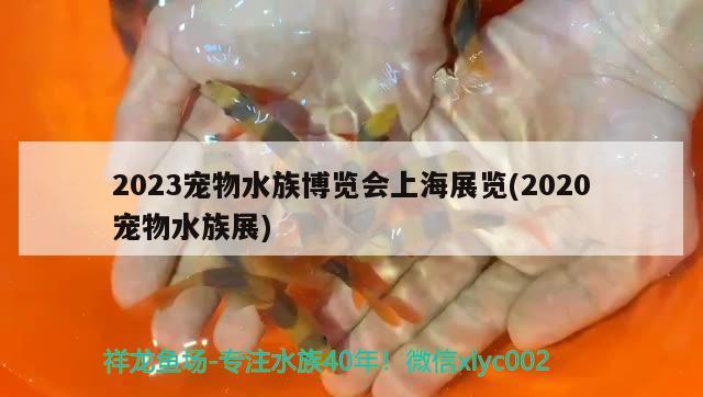 2023宠物水族博览会上海展览(2020宠物水族展) 水族展会