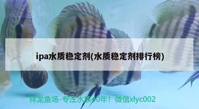 ipa水质稳定剂(水质稳定剂排行榜) 广州水族器材滤材批发市场