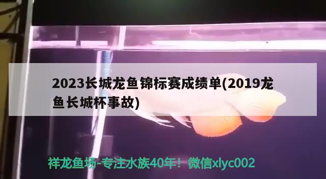 2023长城龙鱼锦标赛成绩单(2019龙鱼长城杯事故) 2024第28届中国国际宠物水族展览会CIPS（长城宠物展2024 CIPS）