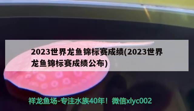 2023世界龙鱼锦标赛成绩(2023世界龙鱼锦标赛成绩公布) 2024第28届中国国际宠物水族展览会CIPS（长城宠物展2024 CIPS）