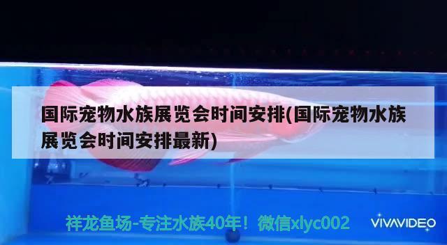 国际宠物水族展览会时间安排(国际宠物水族展览会时间安排最新)