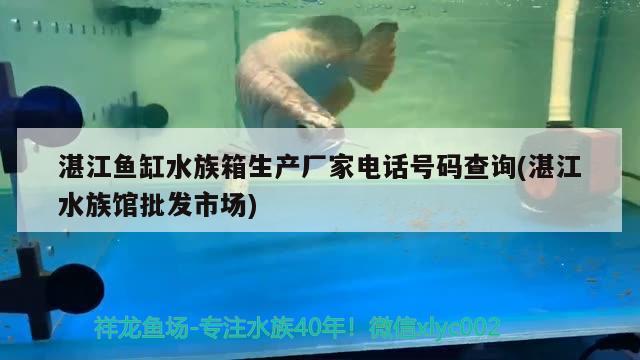 湛江鱼缸水族箱生产厂家电话号码查询(湛江水族馆批发市场)