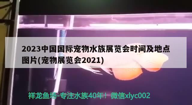 2023中国国际宠物水族展览会时间及地点图片(宠物展览会2021)