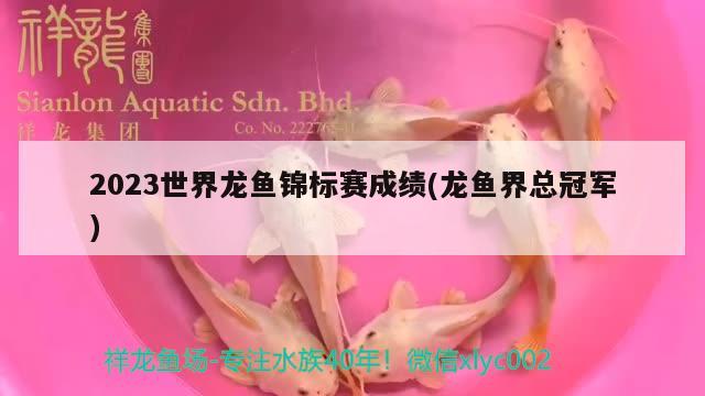 2023世界龙鱼锦标赛成绩(龙鱼界总冠军) 2024第28届中国国际宠物水族展览会CIPS（长城宠物展2024 CIPS）