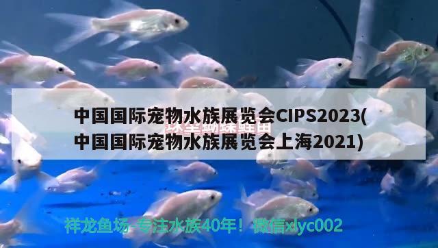 中国国际宠物水族展览会CIPS2023(中国国际宠物水族展览会上海2021)