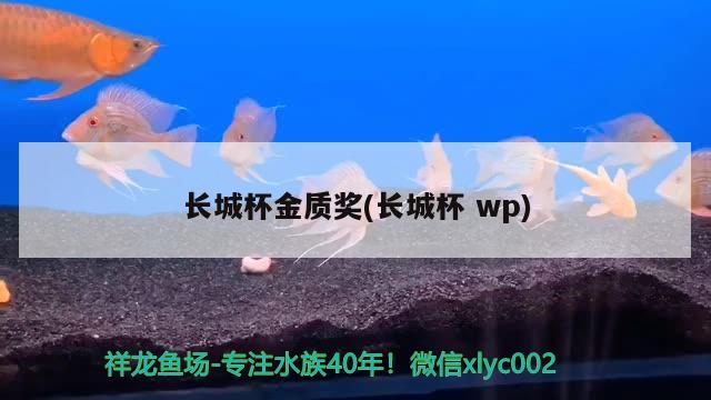 长城杯金质奖(长城杯wp) 2024第28届中国国际宠物水族展览会CIPS（长城宠物展2024 CIPS）