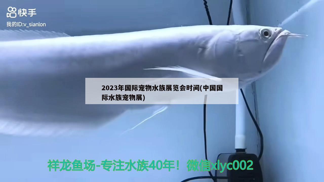 2023年国际宠物水族展览会时间(中国国际水族宠物展)