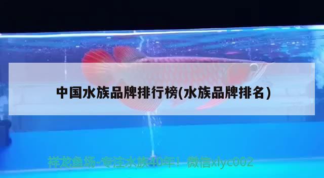 中国水族品牌排行榜(水族品牌排名)