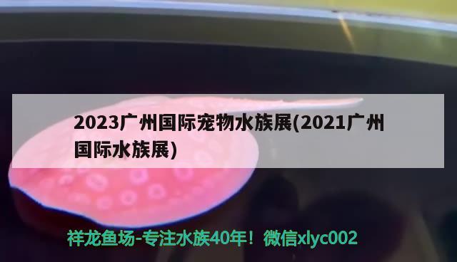 2023广州国际宠物水族展(2021广州国际水族展)