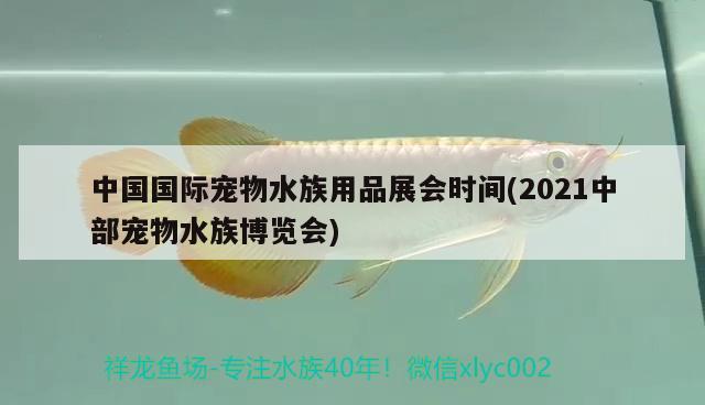 中国国际宠物水族用品展会时间(2021中部宠物水族博览会) 水族用品