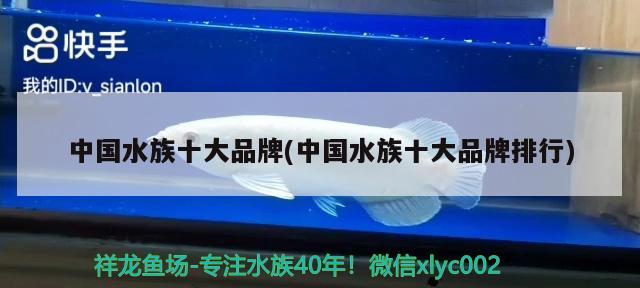 中国水族十大品牌(中国水族十大品牌排行) 2024第28届中国国际宠物水族展览会CIPS（长城宠物展2024 CIPS）