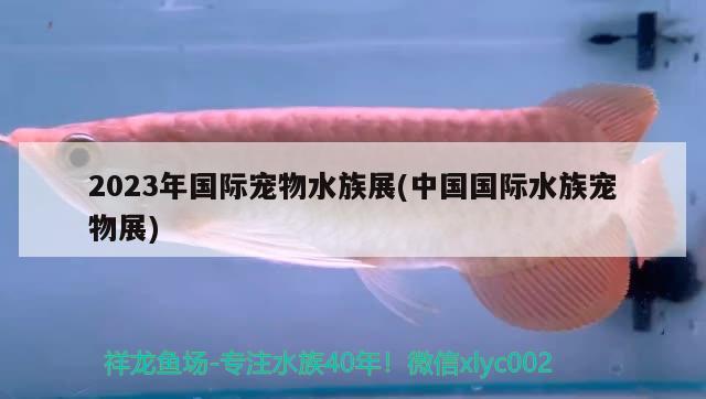 2023年国际宠物水族展(中国国际水族宠物展)