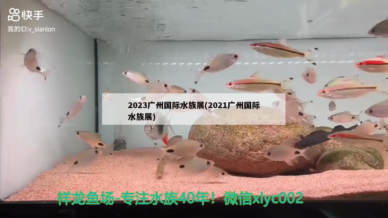 2023广州国际水族展(2021广州国际水族展) 水族展会