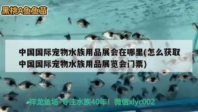 中国国际宠物水族用品展会在哪里(怎么获取中国国际宠物水族用品展览会门票)