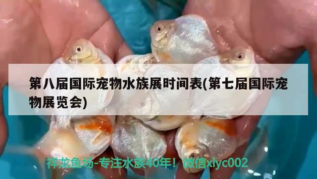 第八届国际宠物水族展时间表(第七届国际宠物展览会) 水族展会