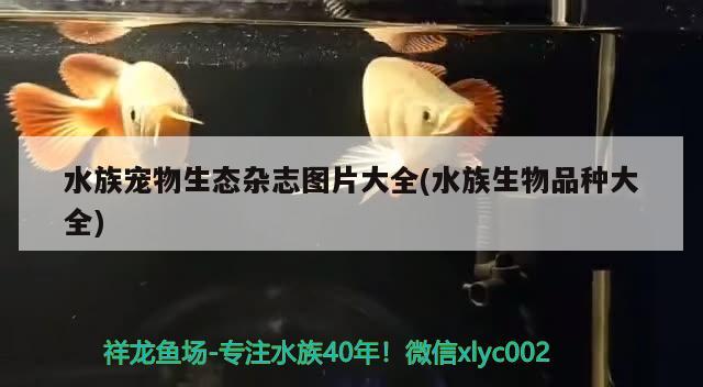 水族宠物生态杂志图片大全(水族生物品种大全) 2024第28届中国国际宠物水族展览会CIPS（长城宠物展2024 CIPS）