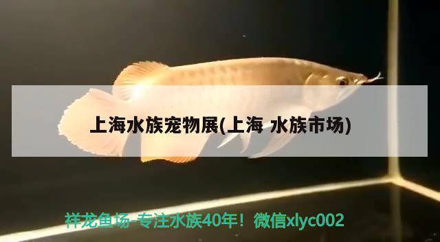 上海水族宠物展(上海水族市场) 2024第28届中国国际宠物水族展览会CIPS（长城宠物展2024 CIPS）