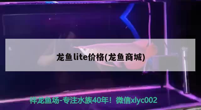 龙鱼lite价格(龙鱼商城) 2024第28届中国国际宠物水族展览会CIPS（长城宠物展2024 CIPS）