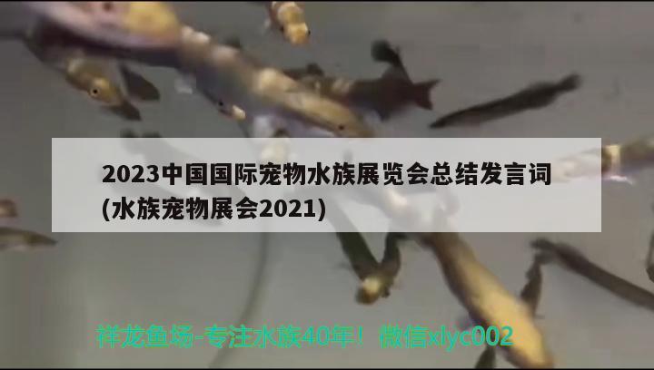 2023中国国际宠物水族展览会总结发言词(水族宠物展会2021)