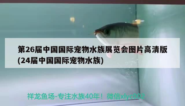 第26届中国国际宠物水族展览会图片高清版(24届中国国际宠物水族) 水族展会