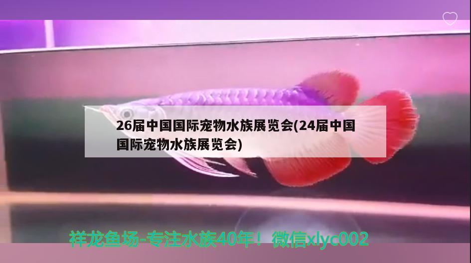 26届中国国际宠物水族展览会(24届中国国际宠物水族展览会) 水族展会