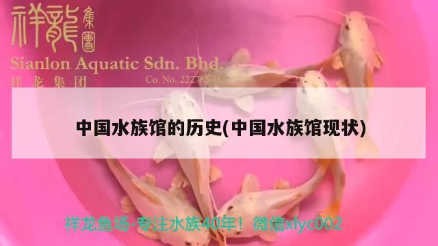 中国水族馆的历史(中国水族馆现状) 2024第28届中国国际宠物水族展览会CIPS（长城宠物展2024 CIPS）