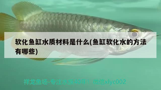 软化鱼缸水质材料是什么(鱼缸软化水的方法有哪些) 元宝凤凰鱼专用鱼粮