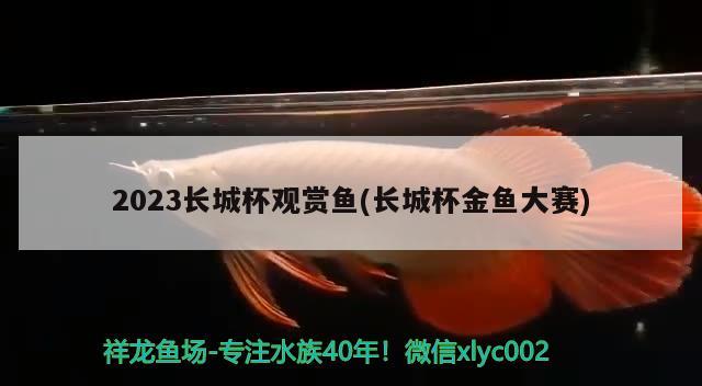 2023长城杯观赏鱼(长城杯金鱼大赛) 2024第28届中国国际宠物水族展览会CIPS（长城宠物展2024 CIPS） 第3张