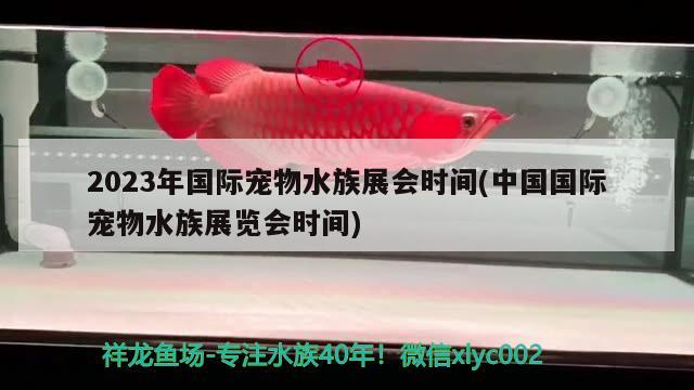 2023年国际宠物水族展会时间(中国国际宠物水族展览会时间)