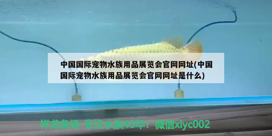 中国国际宠物水族用品展览会官网网址(中国国际宠物水族用品展览会官网网址是什么) 水族用品