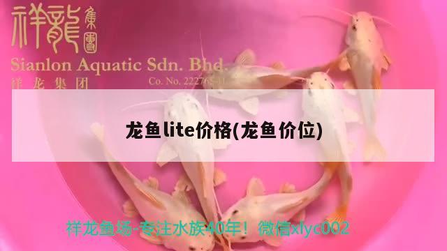 龙鱼lite价格(龙鱼价位) 2024第28届中国国际宠物水族展览会CIPS（长城宠物展2024 CIPS）