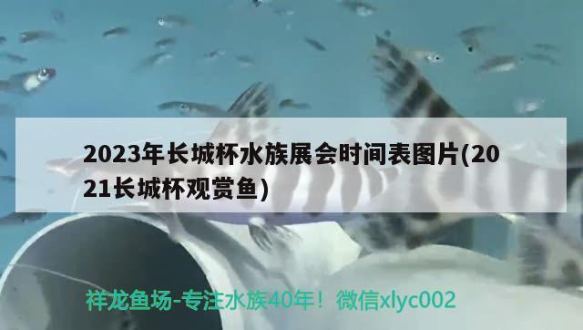 2023年长城杯水族展会时间表图片(2021长城杯观赏鱼)