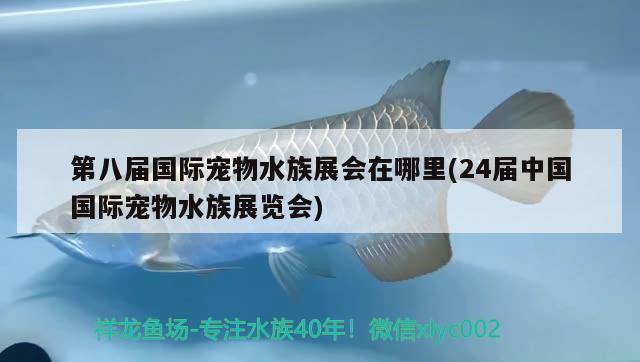 第八届国际宠物水族展会在哪里(24届中国国际宠物水族展览会) 水族展会