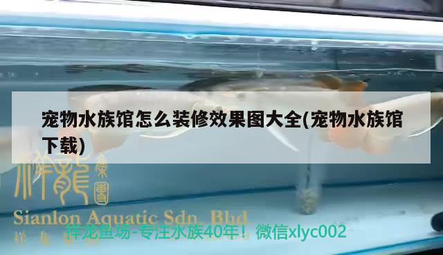 宠物水族馆怎么装修效果图大全(宠物水族馆下载) 2024第28届中国国际宠物水族展览会CIPS（长城宠物展2024 CIPS）