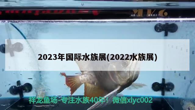 2023年国际水族展(2022水族展)