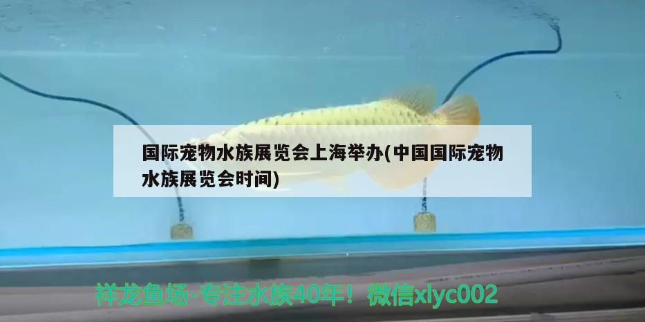 国际宠物水族展览会上海举办(中国国际宠物水族展览会时间)