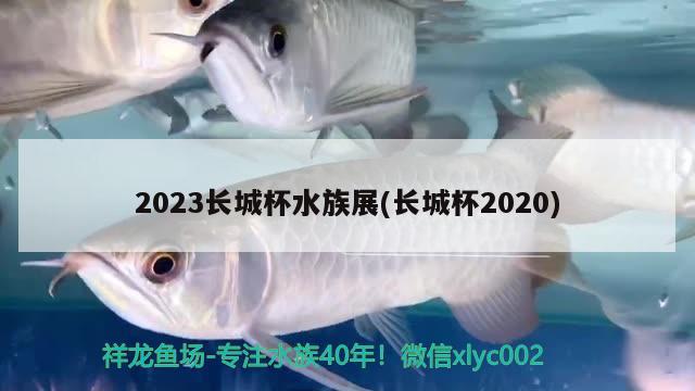 2023长城杯水族展(长城杯2020)