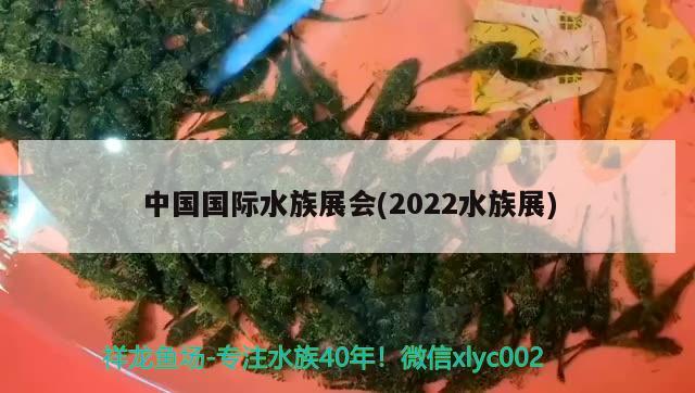 中国国际水族展会(2022水族展)