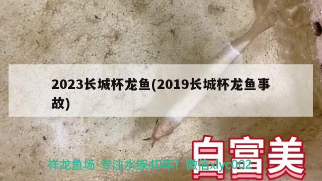 2023长城杯龙鱼(2019长城杯龙鱼事故)