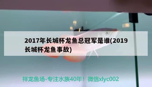 2017年长城杯龙鱼总冠军是谁(2019长城杯龙鱼事故)